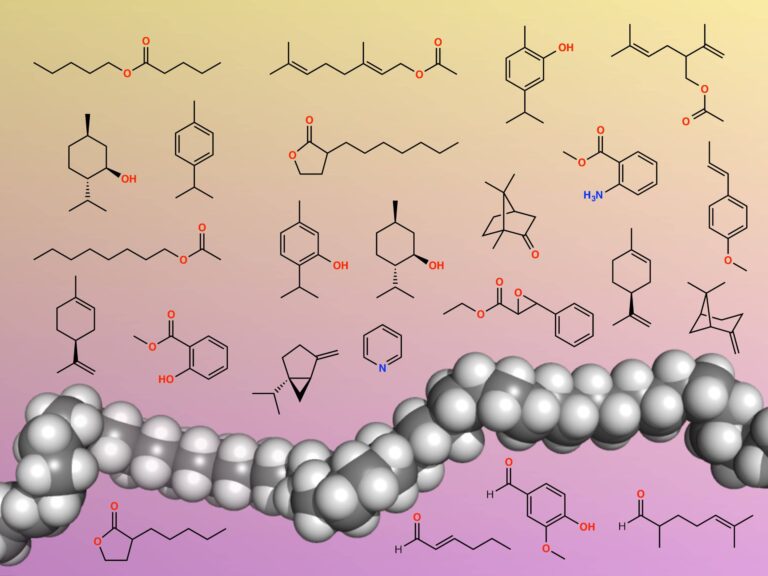 STEM Biochemistry Lessons | Biochemistry Literacy for Kids