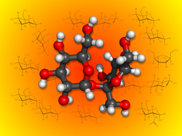 STEM Biochemistry Lessons | Biochemistry Literacy for Kids