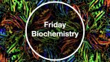 Friday Biochemistry