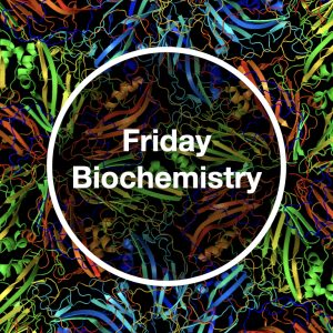 Friday Biochemistry