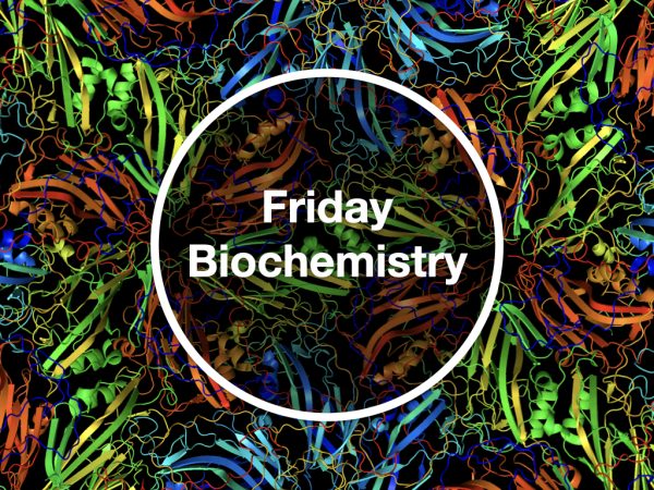 Friday Biochemistry