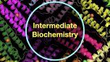 Intermediate Biochemistry M/W