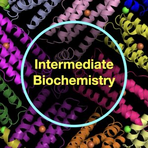 Intermediate Biochemistry M/W