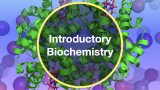 Introductory Biochemistry M/T/F