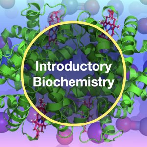 Introductory Biochemistry M/T/F