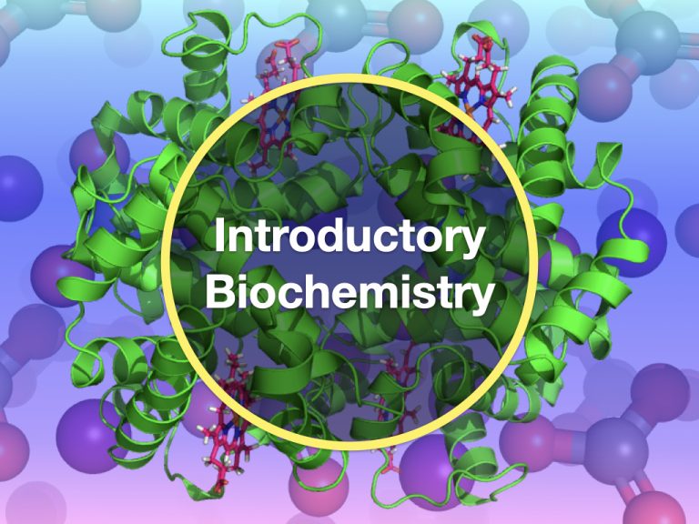 Introductory Biochemistry (Friday) - Biochemistry Literacy for Kids