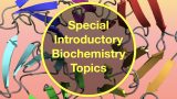 Tuesday Special Introductory Biochemistry