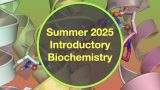 Summer Friday Introductory Biochemistry