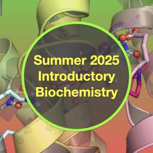 Summer Friday Introductory Biochemistry