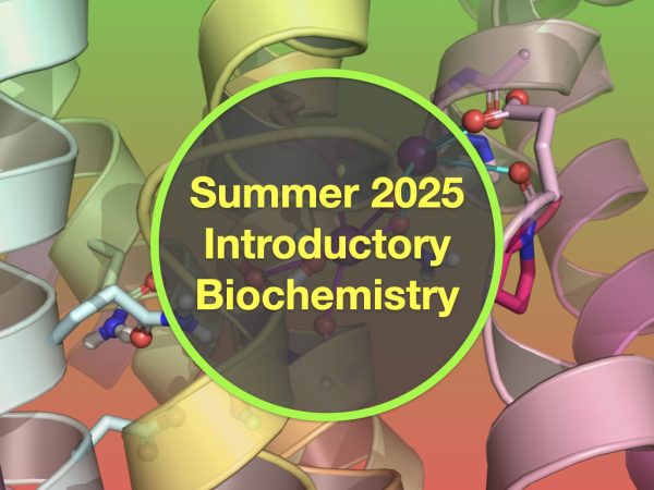 Summer Friday Introductory Biochemistry