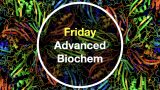 Friday Introductory Biochemistry