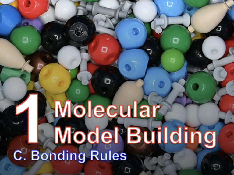 STEM Biochemistry Lessons | Biochemistry Literacy for Kids